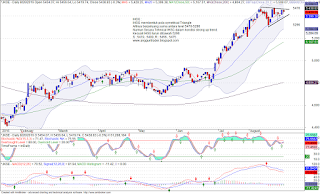 Hukum forex gwgfx