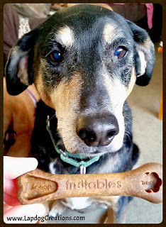 Teutul thinks #Fruitables Bioactive #DentalChews are awesome! Thanks to #BullymakeBox for introducing us to them! - Save $6 off any plan with coupon code LapdogCreations2016 #LapdogCreations