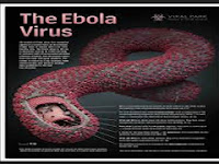 .:: Gejala-Gejala Seseorang Terjangkit Virus Ebola ::.