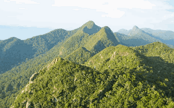 PutraRimbaBorneo Gunung dan Pegunungan di Kalimantan PutraRimbaBorneo Gunung dan Pegunungan di Kalimantan