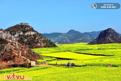 Thiên dường hoa cải tại La Bình, Vân Nam Thiên dường hoa cải tại La Bình, Vân Nam