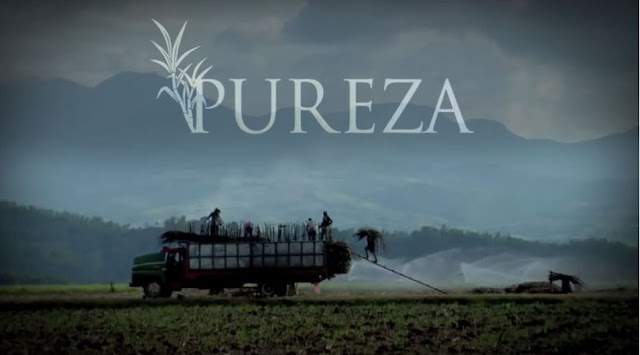 Pureza The Movie : The Negrense Story, Now Available on DVD
