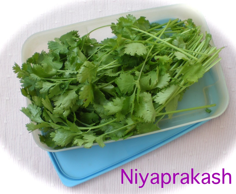 Niya's World How to store Coriander leaves