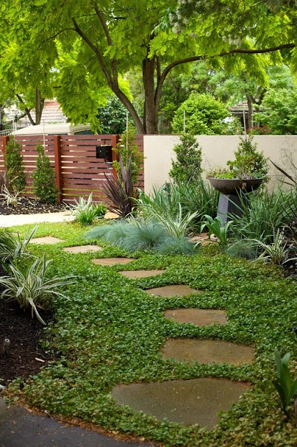 DIY garden path with random-shaped flagstones and ground cover plants as filler
