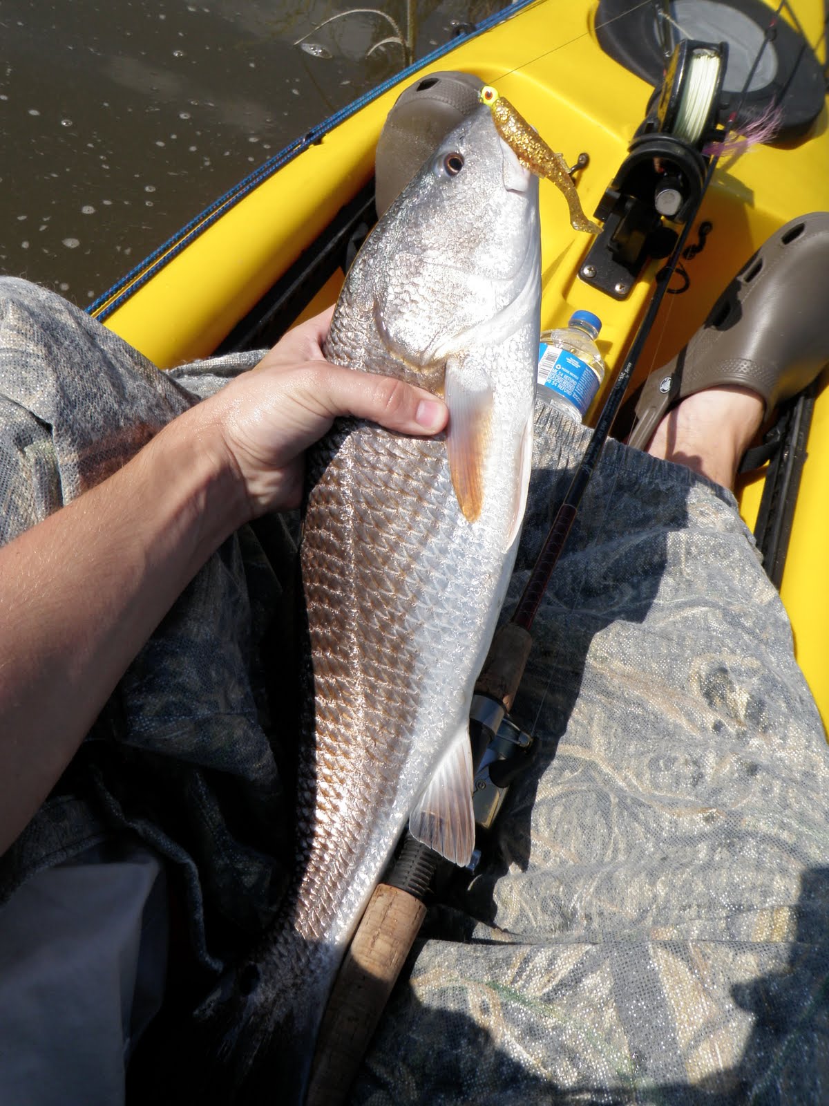 The Flying Kayak Cedar Key Fishing, September, 2011