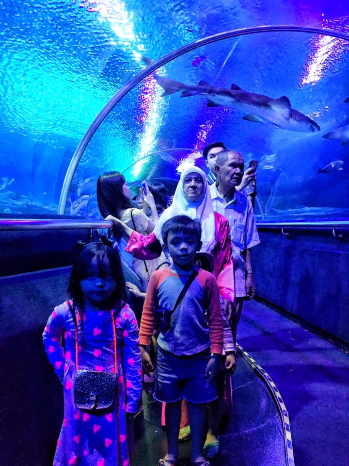 Bawa Anak Ke Aquaria KLCC