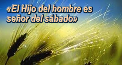 Resultado de imagen para El Hijo del Hombre es señor del sábado