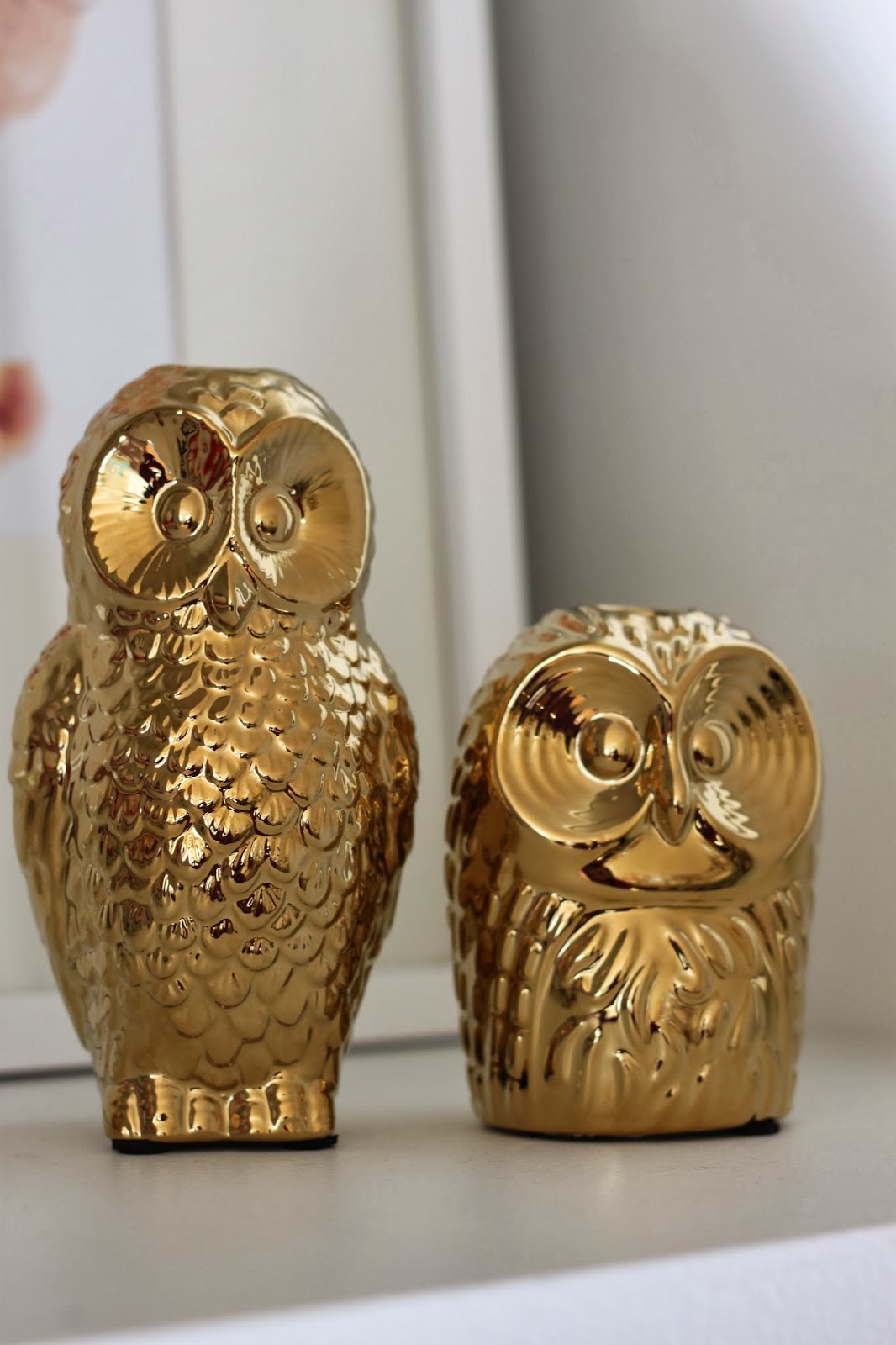 modern jane Golden Owls.