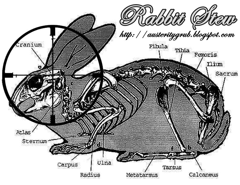 Особенности строения скелета кролика. Анатомия кролика. Строение скелета кролика. Строение кролика. Строение головы кролика.