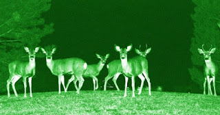 Tips for Wildlife Viewing using Night Vision Binoculars