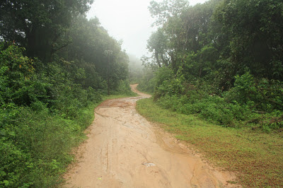 Coorg places