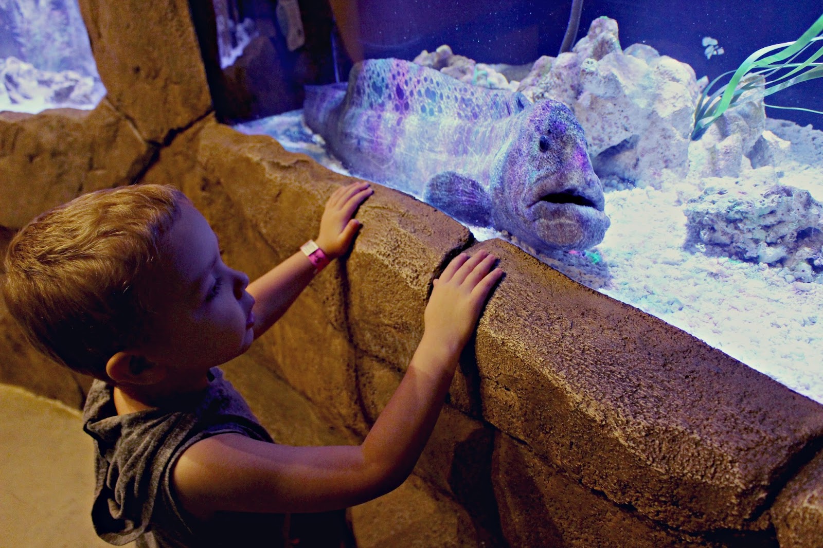 Sea Quest Boulevard Mall