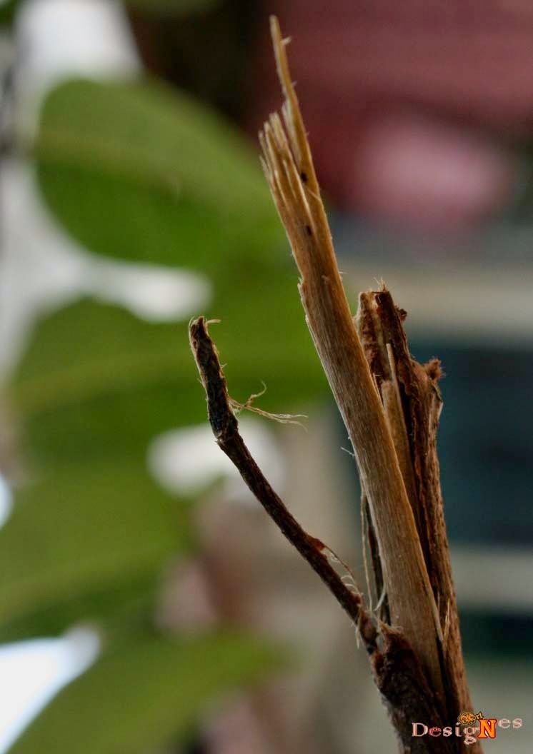 Gambar Contoh Fotografi Abstrak Kreatif Minimalis Penuh Warna Gambar di