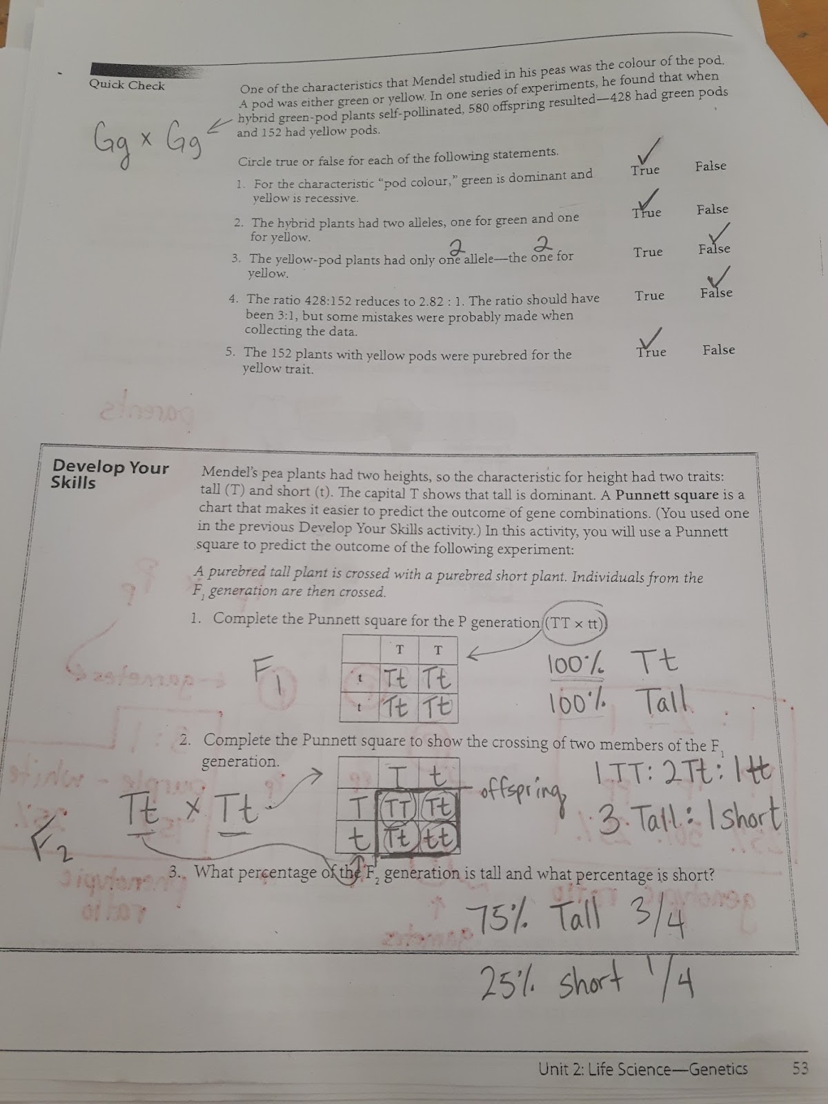 Myles Of Science Science 10 Myles Of Science Science 10