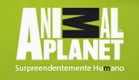 http://animalplanet.discoverybrasil.uol.com.br/ciclovivo-governo-de-sp-lanca-campanha-para-reduzir-abandono-de-pets/