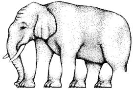 80 % फेल : केवल बुद्धिमान व्यक्ति ही बताये….चित्र में हाथी के कितने पैर है ?