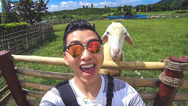 Why I did Eyebrow Embroidery? To look better and boost self confidence when selfie with a sheep hahaha #TCSelfie *Photo taken at A Star Phulare Valley Resort Chiang Rai * Why I did Eyebrow Embroidery? To look better and boost self confidence when selfie with a sheep hahaha #TCSelfie *Photo taken at A Star Phulare Valley Resort Chiang Rai *