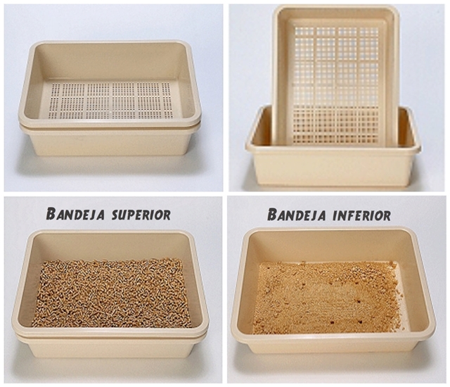 Caja de Arena Doble Gatos