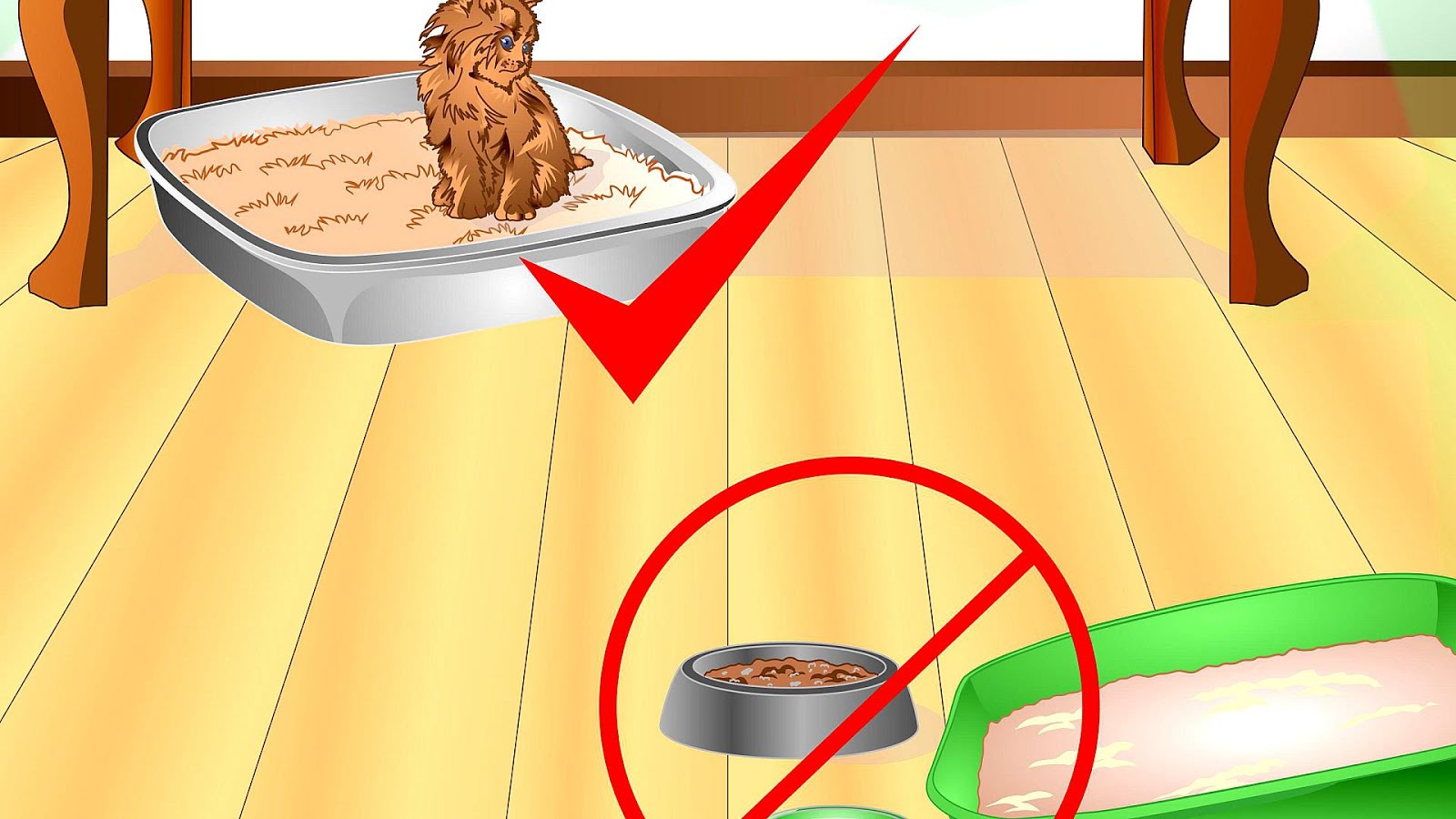 Kitten Playing In Litter Box Box Choices