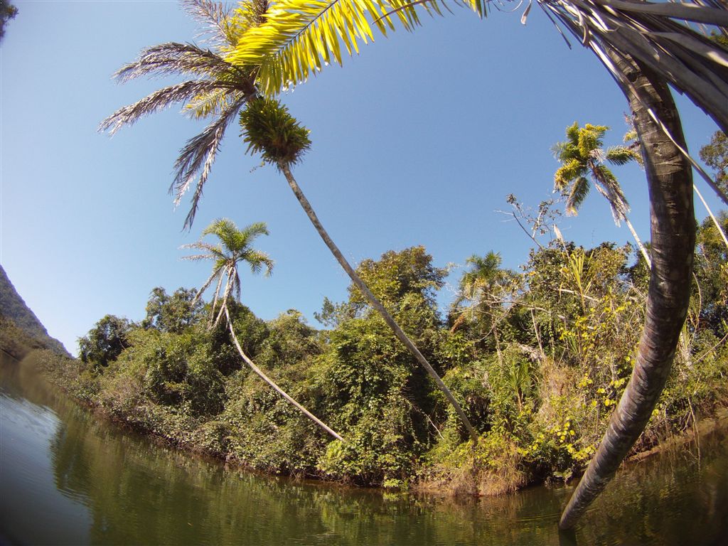 Aventuras Submarinas por Marcelo Ambrogi GOPRO hero 2 Adventure