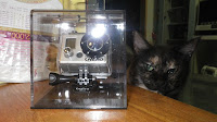 スケートボード&ロンスケにはGoPro 横乗りスポーツ、特にロンスケには欠かせないアクションカム