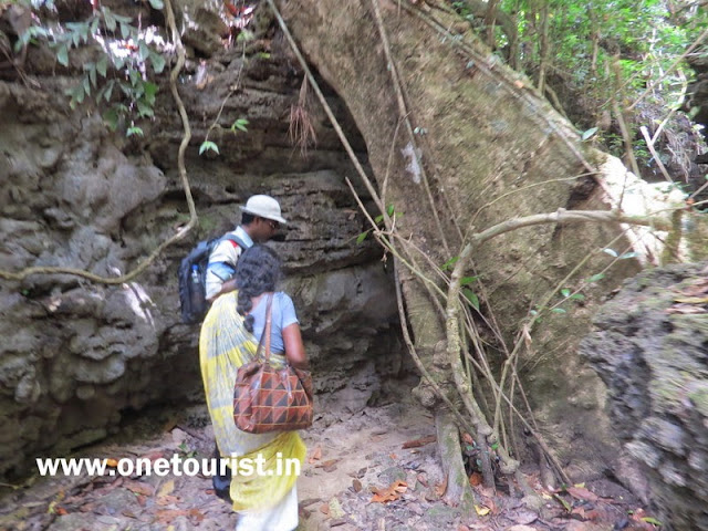 trekk for limestone caves , baratang , andaman