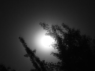 moon in black and white