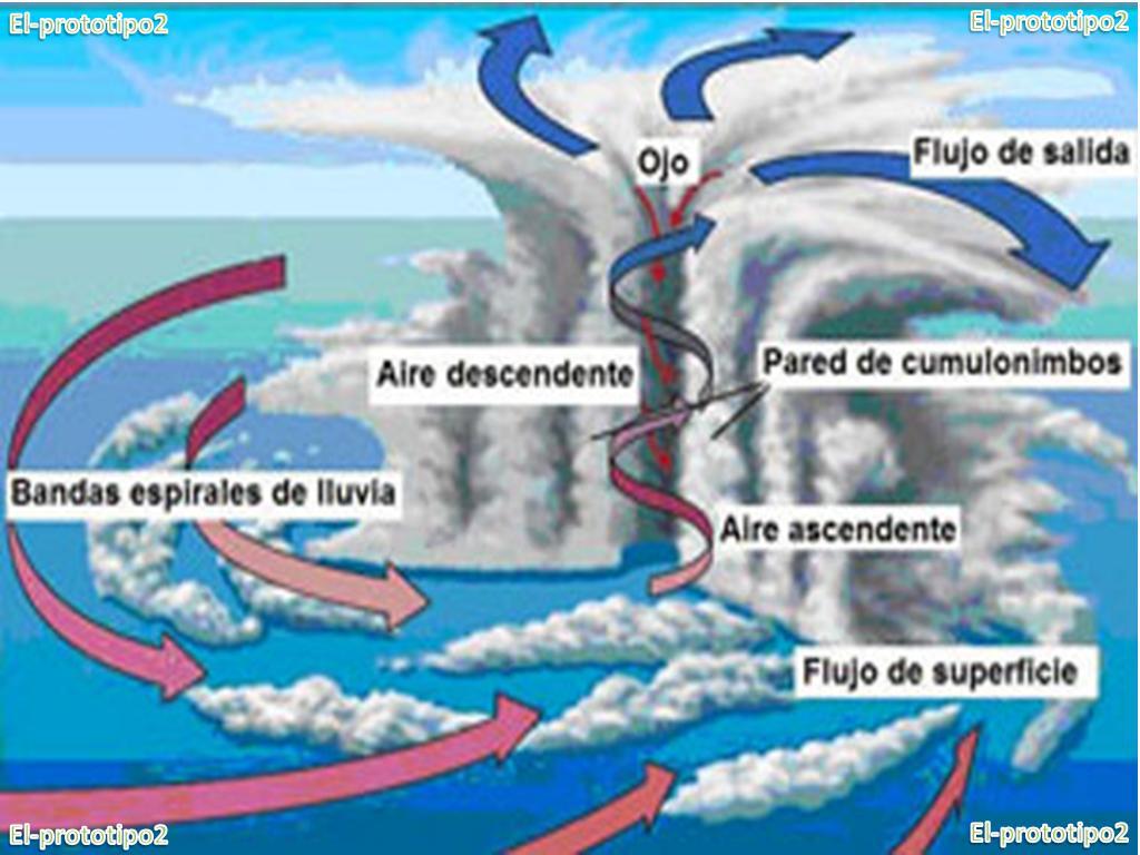 ¿Sabías Que...? ¿Qué Es Un Ciclo Tropical?
