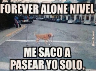 Imagenes bonitas para cada día Imagenes bonitas para cada día