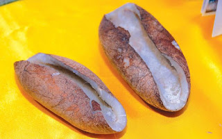 Pabrik Minyak Kelapa Kopra Pabrik Minyak Kelapa Kopra