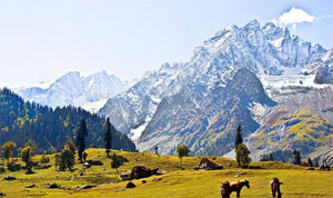 jammu kashmir trip packages from delhi jammu kashmir trip packages from delhi