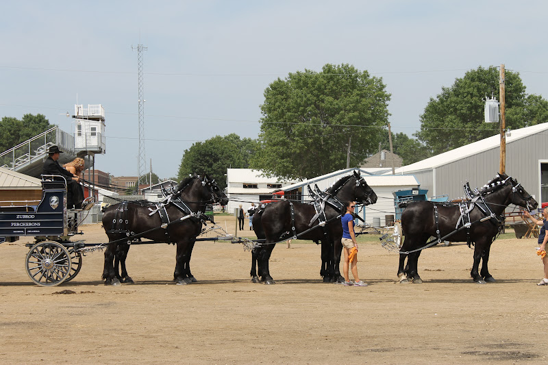 Cornerstone Retreat Murray County Classic Draft Horse Show Slayton MN