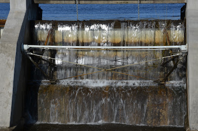 Dam Gate Photo by Trisha Field