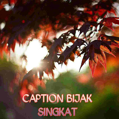 caption bijak singkat caption bijak singkat