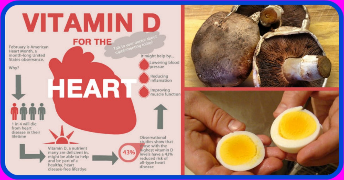 Diabetics Who Enjoy Food 7 Vitamin D Foods to Protect You From