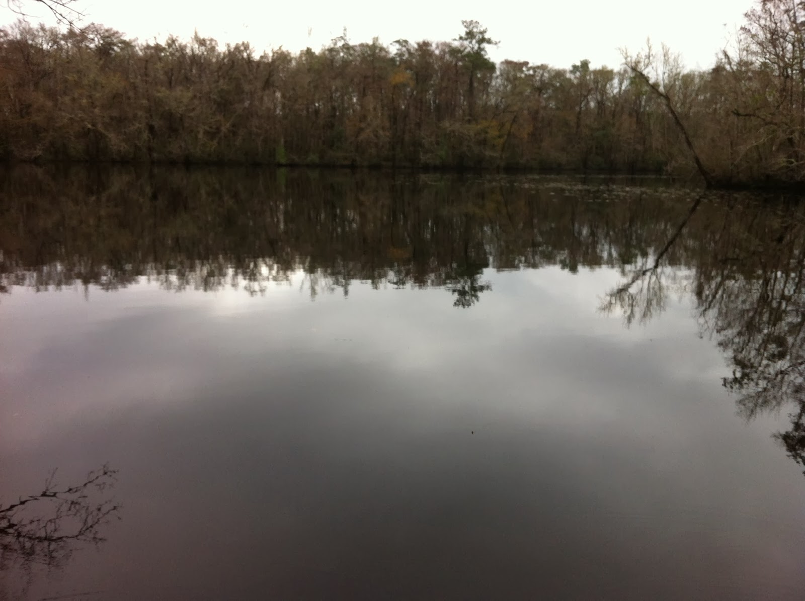 Our Fantastic Falcon Voyage Wood Lake Hunt Camp, Apalachicola National