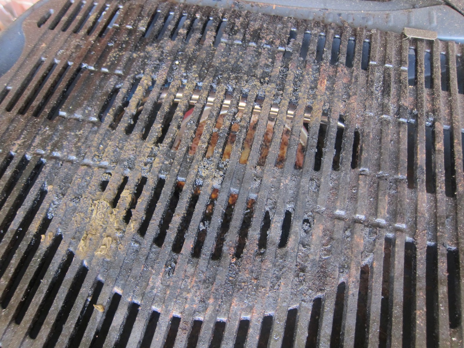 Barbecue Master Blaze 21 Grill Grate Cleaning Brush Review Nice