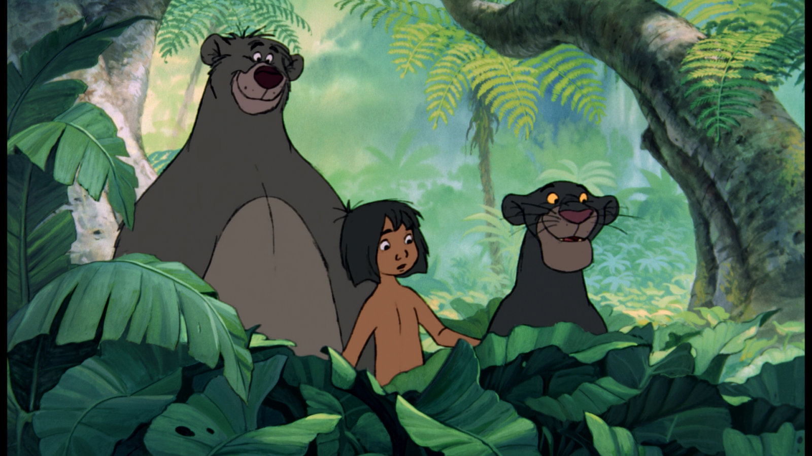 The Jungle Book Teaching Resources
