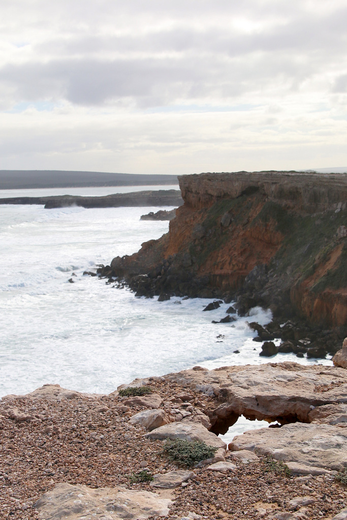 Bushranger Venus Bay