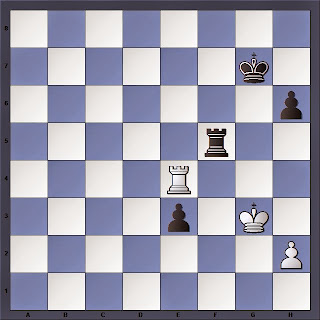 Échecs : Anand 1/2 Carlsen, la position finale de la partie 5 