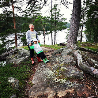 summer landscape Finnish forest