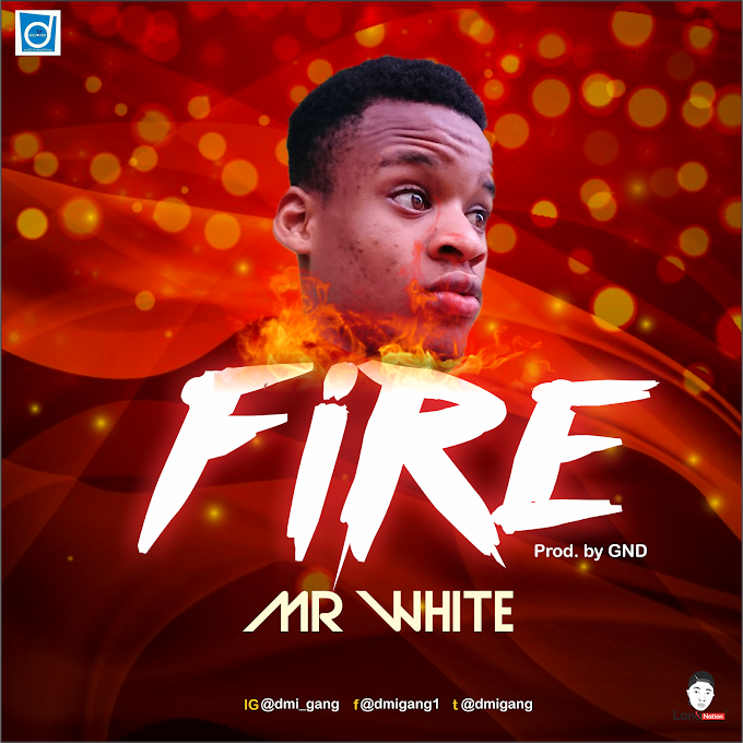 (music) Mr white - fire