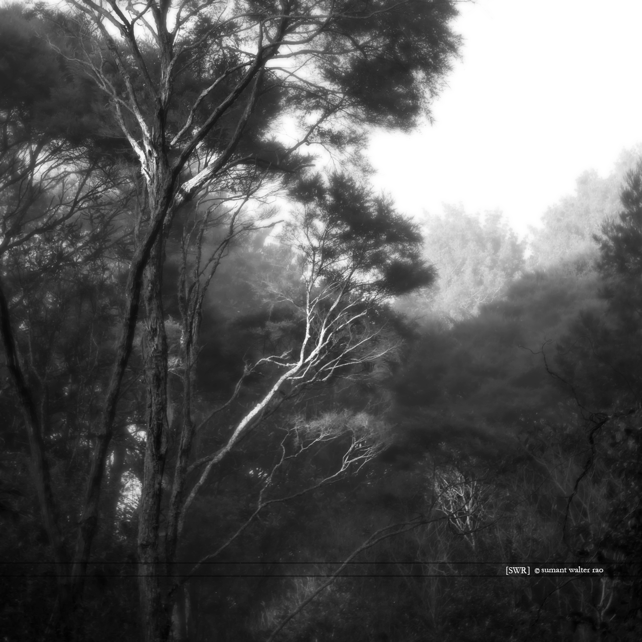 Sumant Walter Rao Photography: 2012