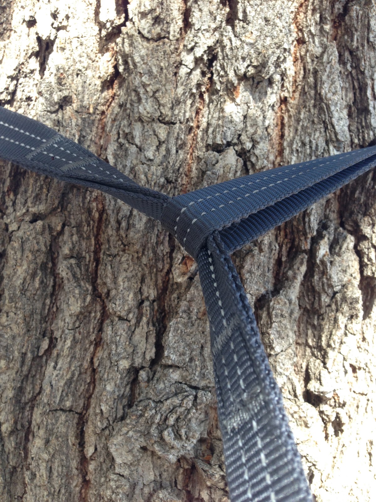 Outdoor Gear Testing and Reviews Rallt Hammock Tree Straps