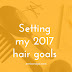My 2017 Hair Goals