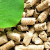 Van biomassa-soep naar nieuwe bruikbare grondstoffen