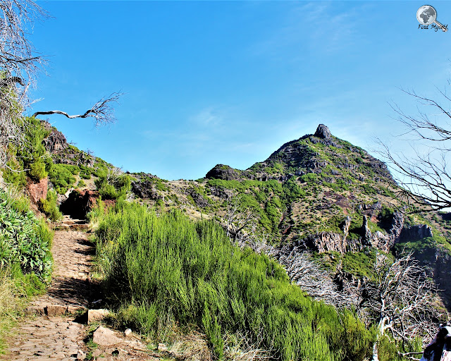 Pico Ruivo, Madera