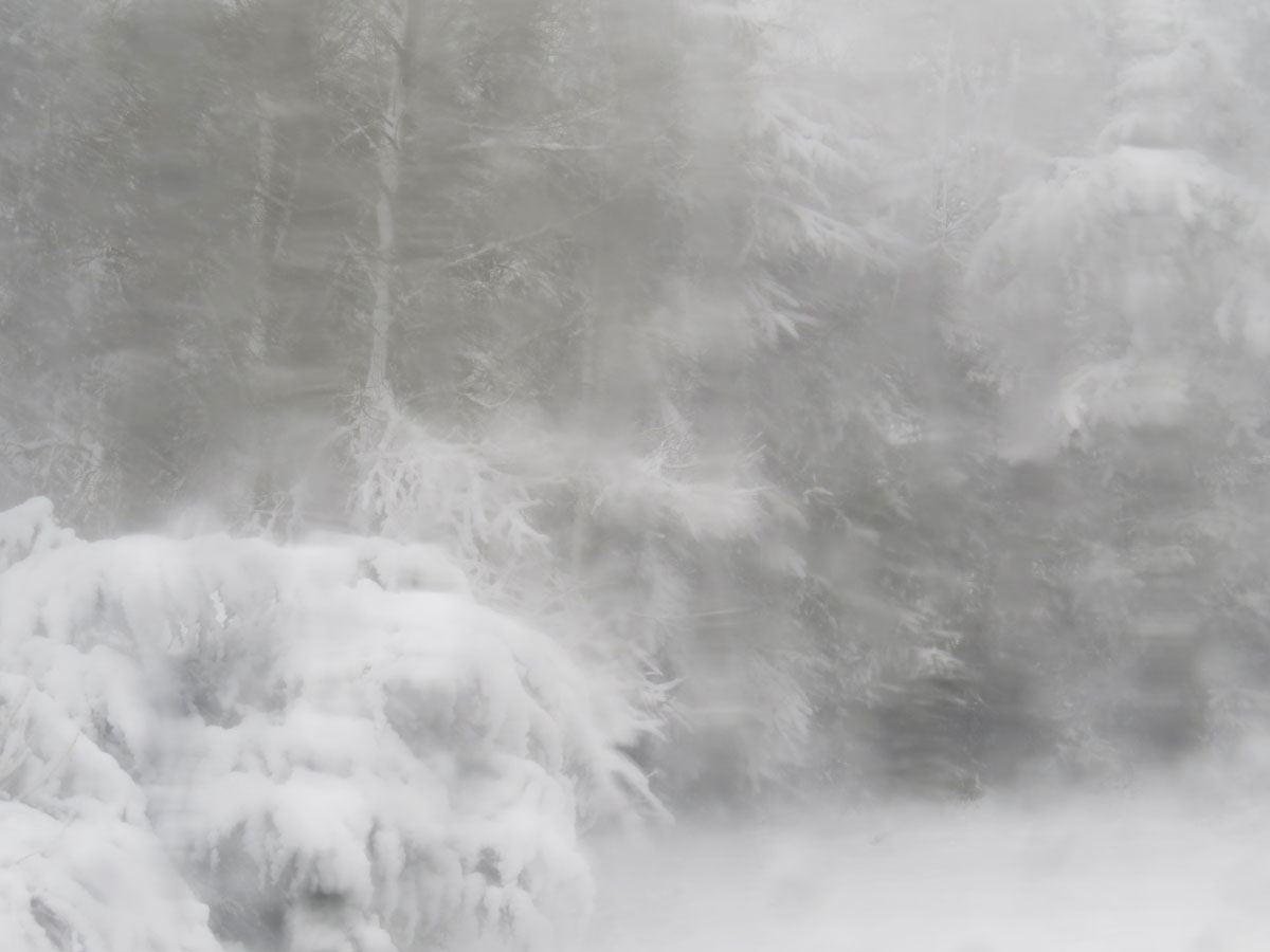 Frieda Oxenham A Few Isolated Snow Showers