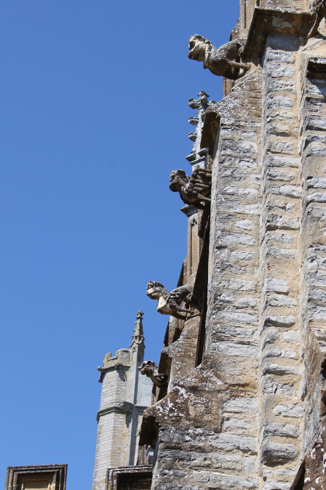 The Hunky Punks Project Hunky Punk Facts