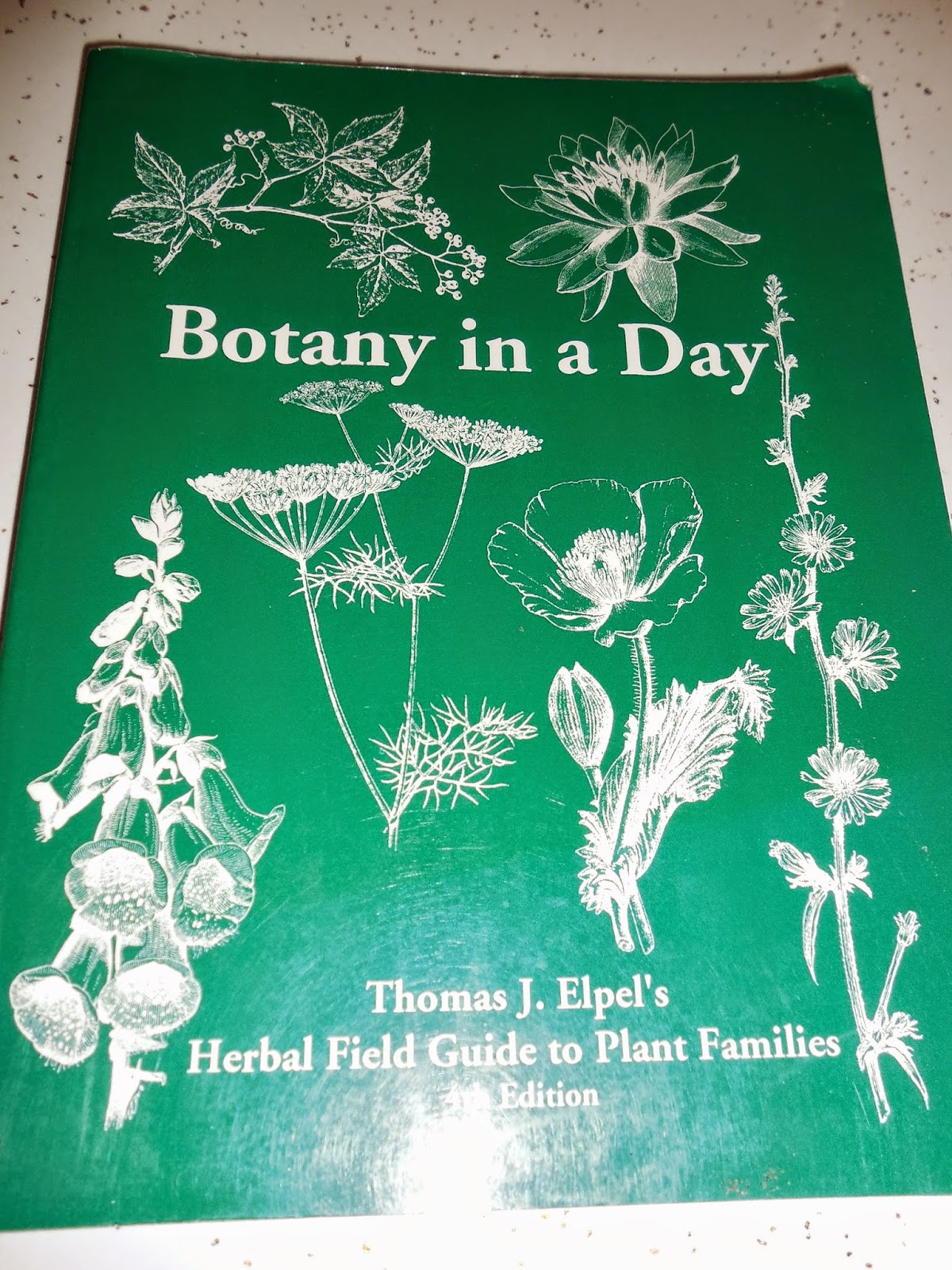 Rosemary's Sampler: Book Review: Botany in a Day